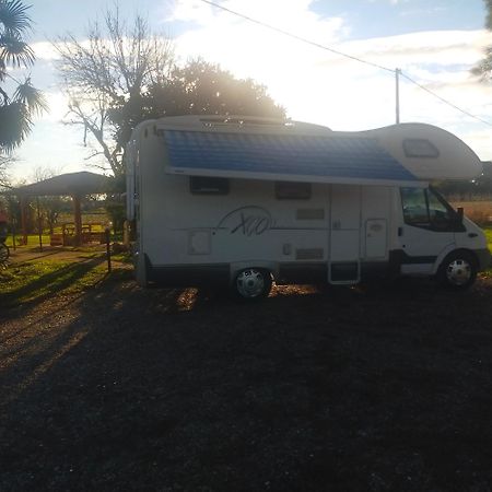 Mimoza Camper Hotel Bibione Eksteriør billede